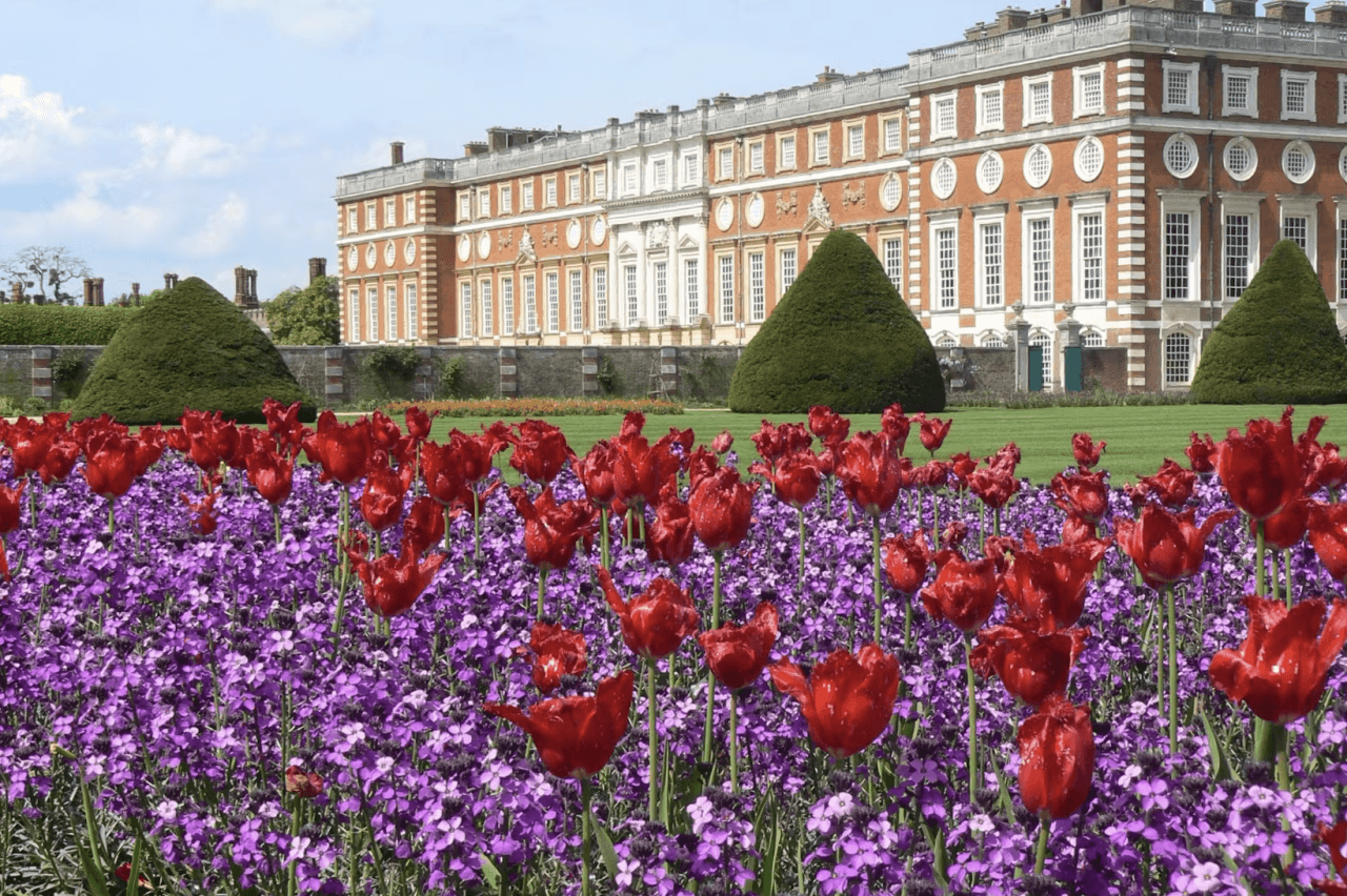 Hampton Court Palace Ticket - image 6