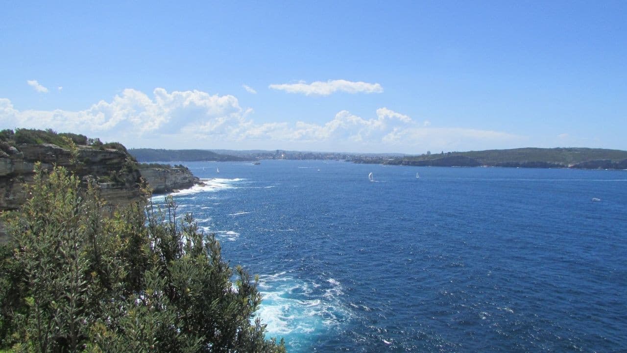 Watsons Bay Walking Tour - image 5