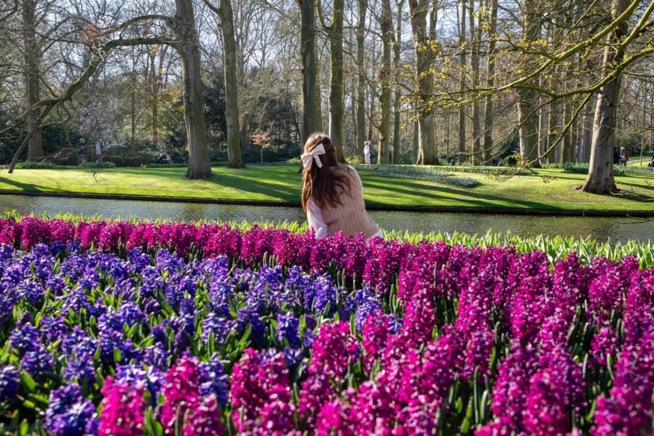 Keukenhof Gardens Ticket with Round Trip Bus Transfer from Amsterdam - image 3