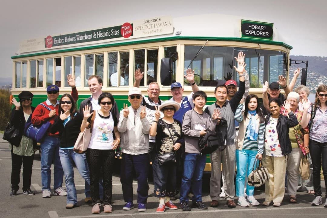 Bonorong Wildlife Sanctuary and Hobart City Tour - image 2