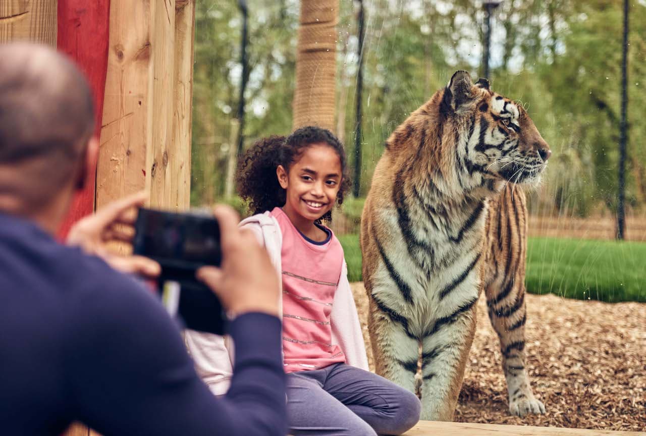 Chessington World of Adventures Ticket - image 18