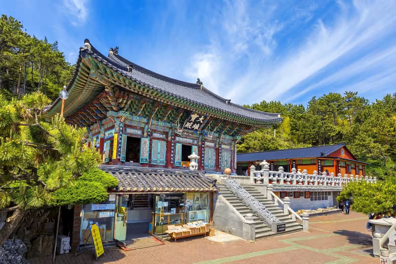 Busan Local Life Tour: Bamboo Forest, Haedongyonggungsa Temple, Gamcheon Culture Village - image 5