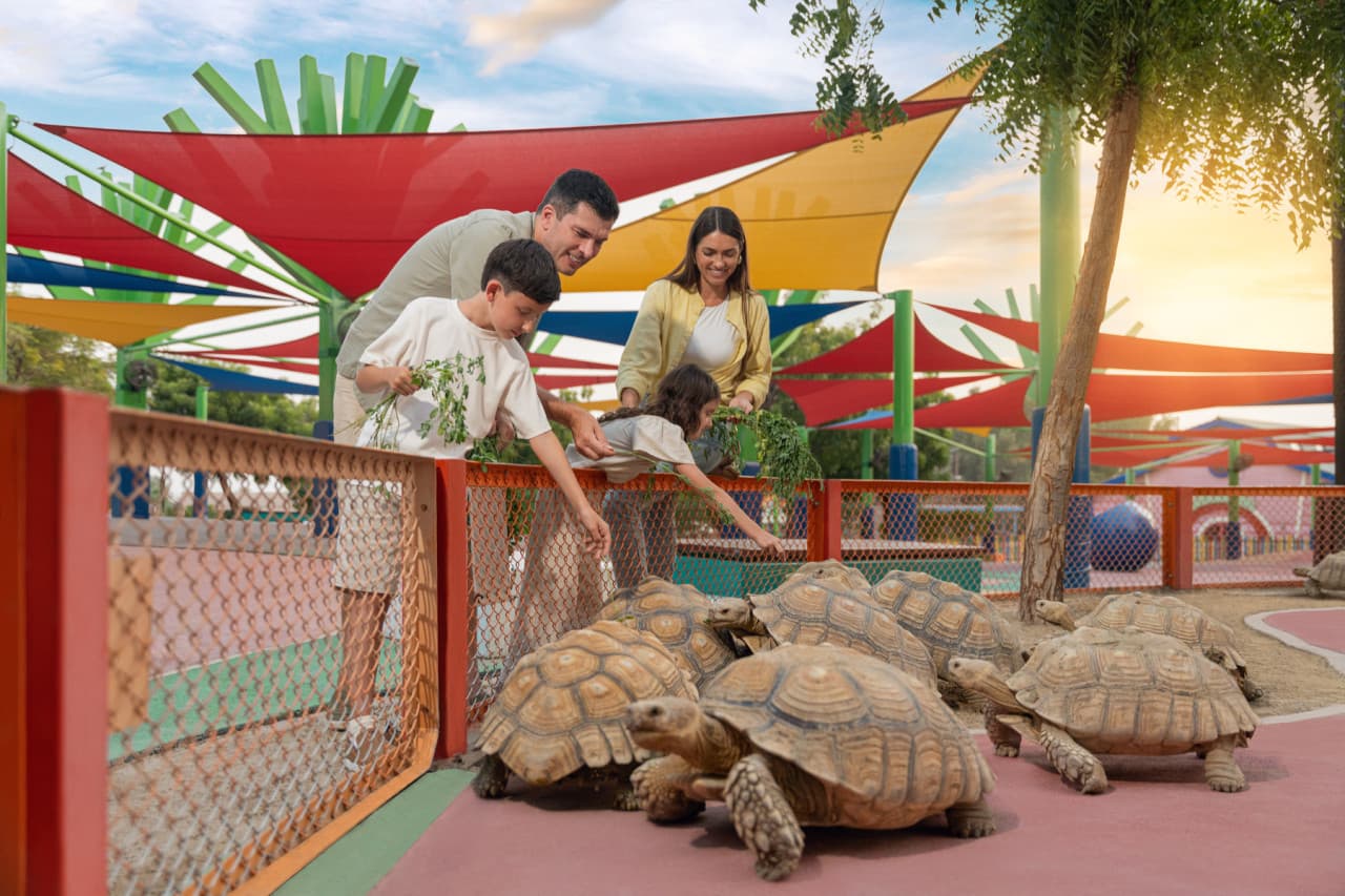 Dubai Safari Park Ticket - image 13