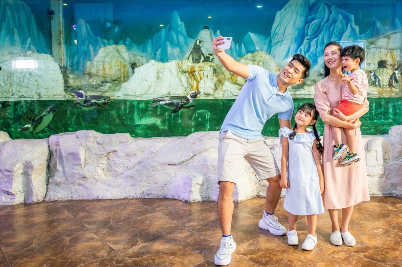 Vinpearl Aquarium Times City Hanoi Ticket - image 3