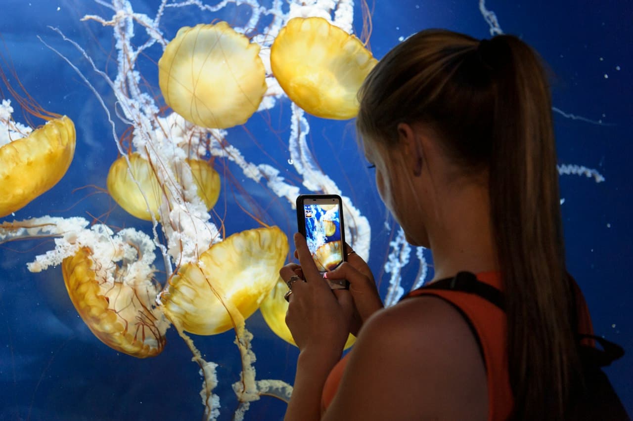 San Francisco CityPASS: Admission to 4 Top Attractions - image 4