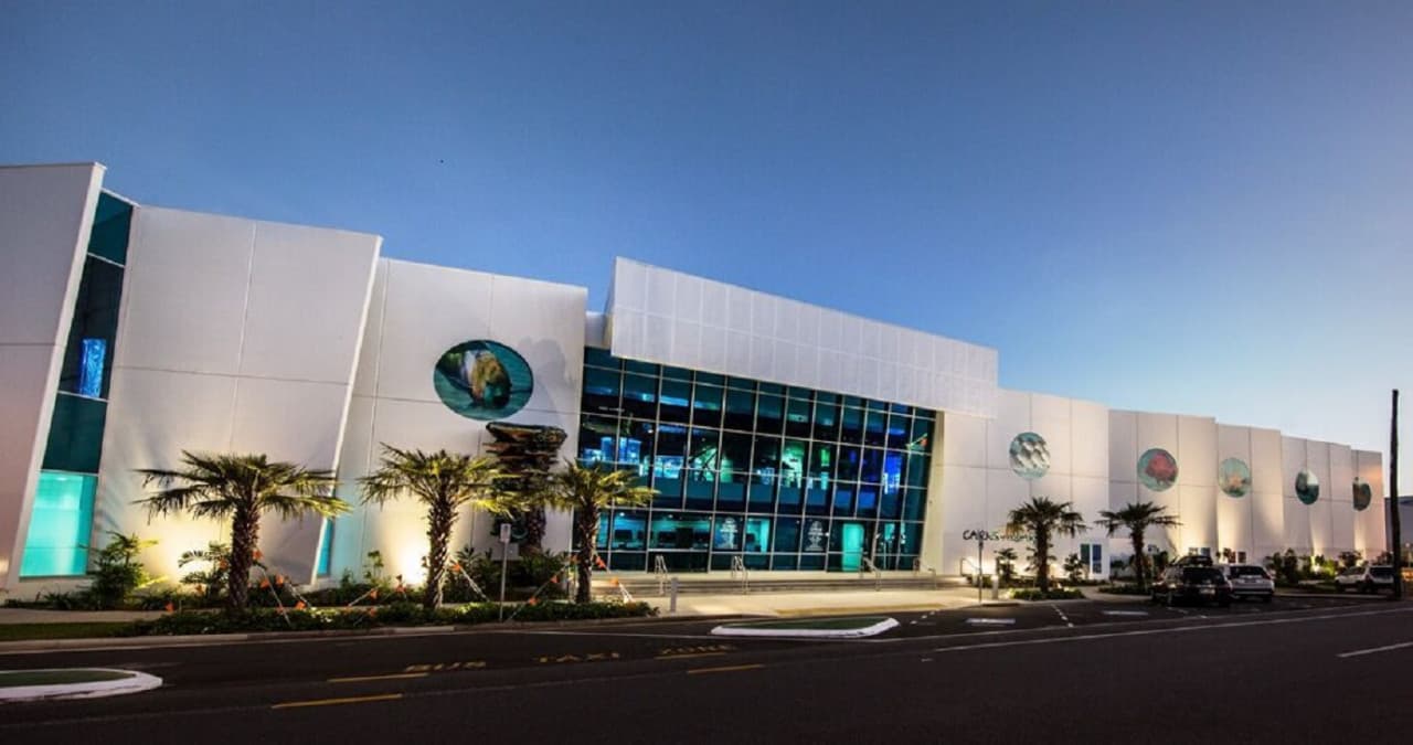 Cairns Aquarium Ticket - image 7