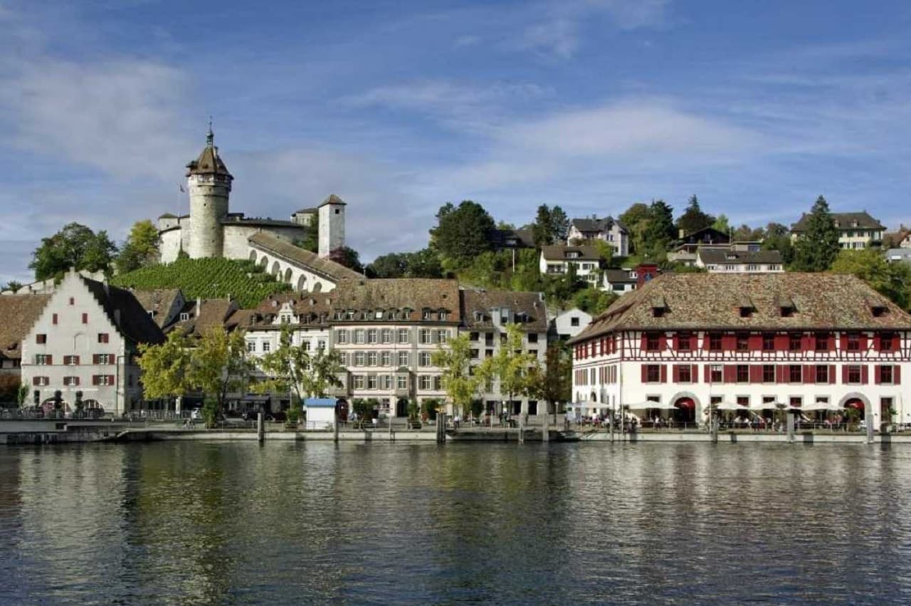 Rhine Falls Tour from Zurich - image 4