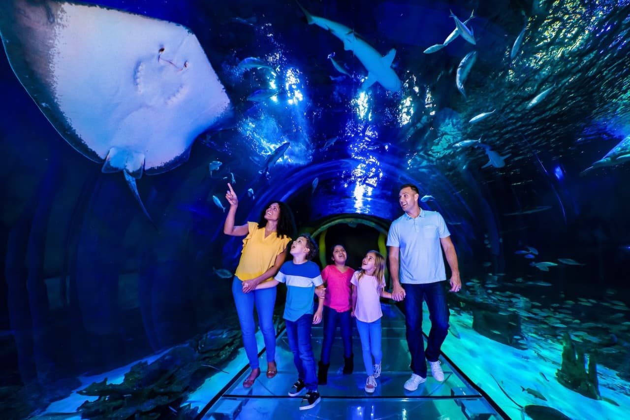 SEA LIFE Orlando Aquarium Ticket - main image