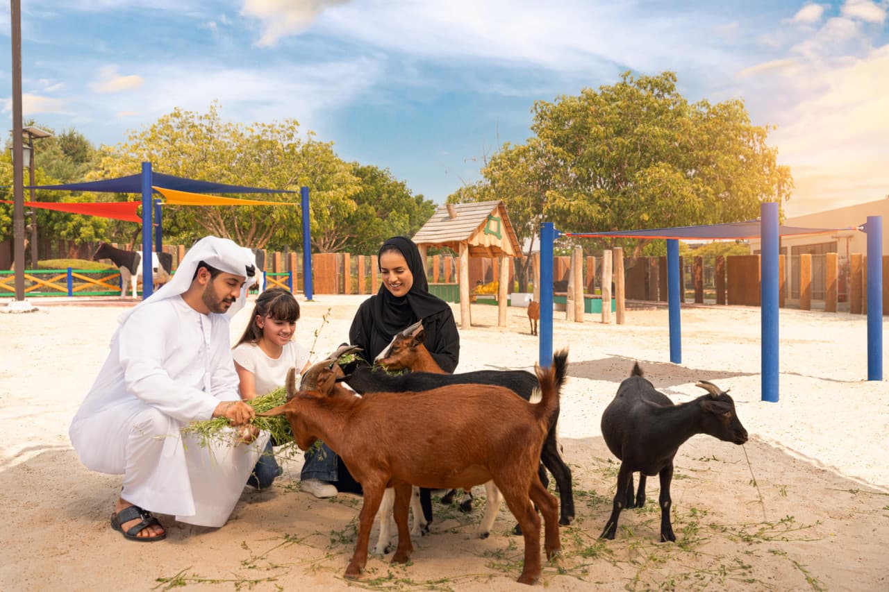 Dubai Safari Park Ticket - image 11