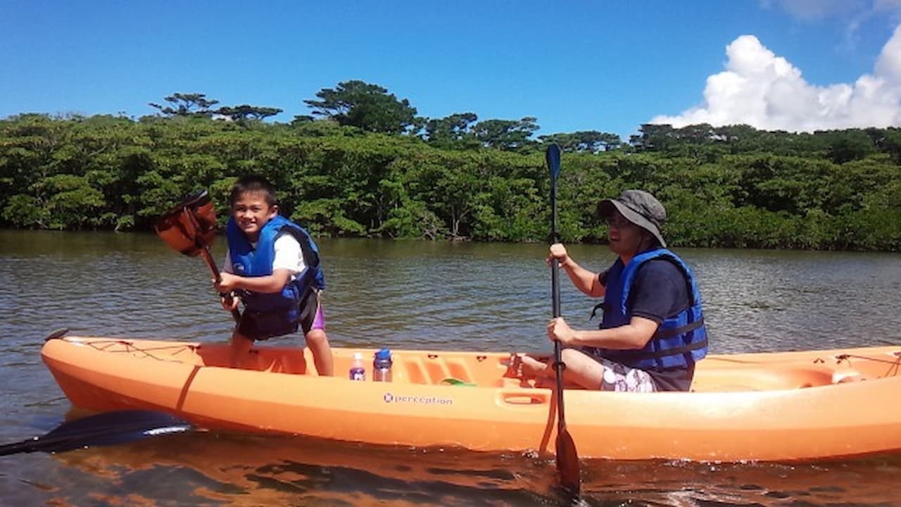 Ishigaki Yaima Village Ticket - image 13