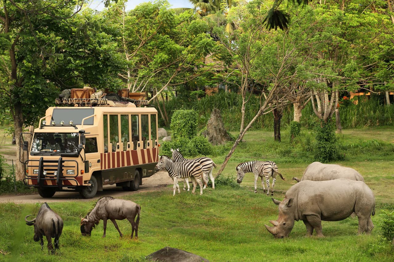 Bali Safari Park Ticket - main image