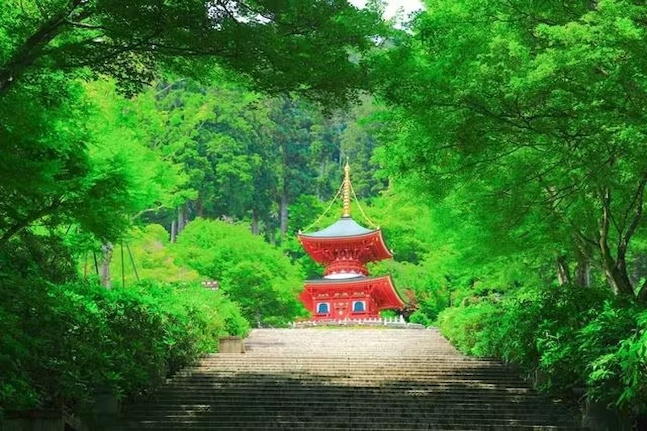 Katsuo-ji Temple Ticket - image 8