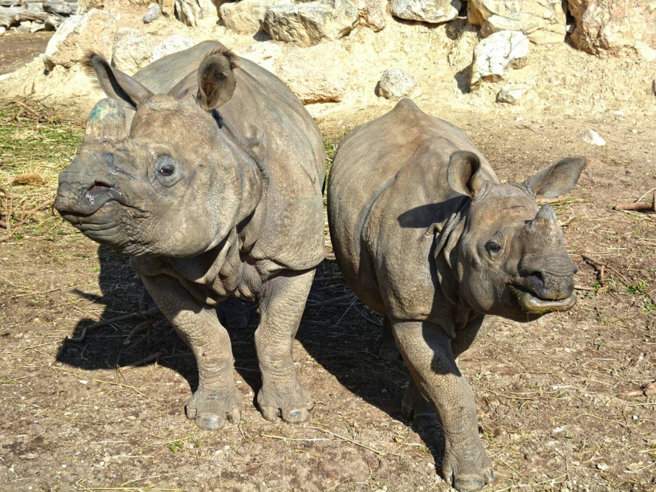 Terra Natura Benidorm: Entry Ticket - image 3