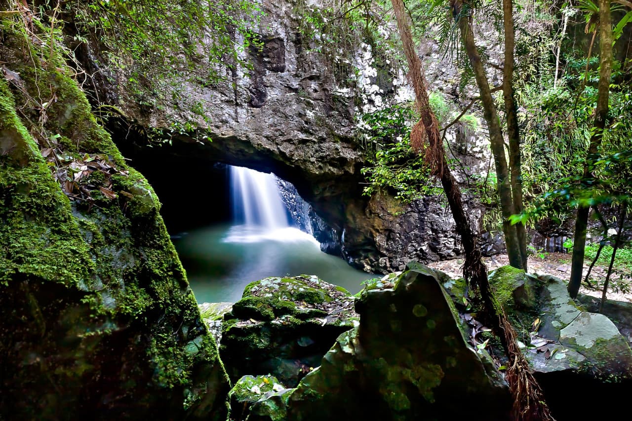 Springbrook National Park Tour: Natural Bridge and Waterfalls - image 6