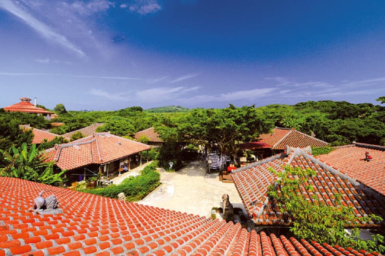 Okinawa World Pass - image 11