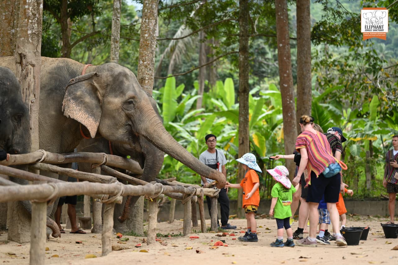 Elephant Jungle Sanctuary Koh Samui - main image