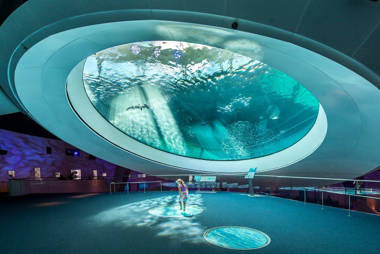Phillip & Patricia Frost Museum of Science, Aquarium and Planetarium Ticket - main image