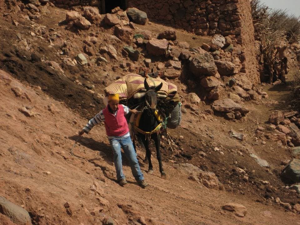 Berber Trail Full-Day 4WD Tour from Marrakech - main image