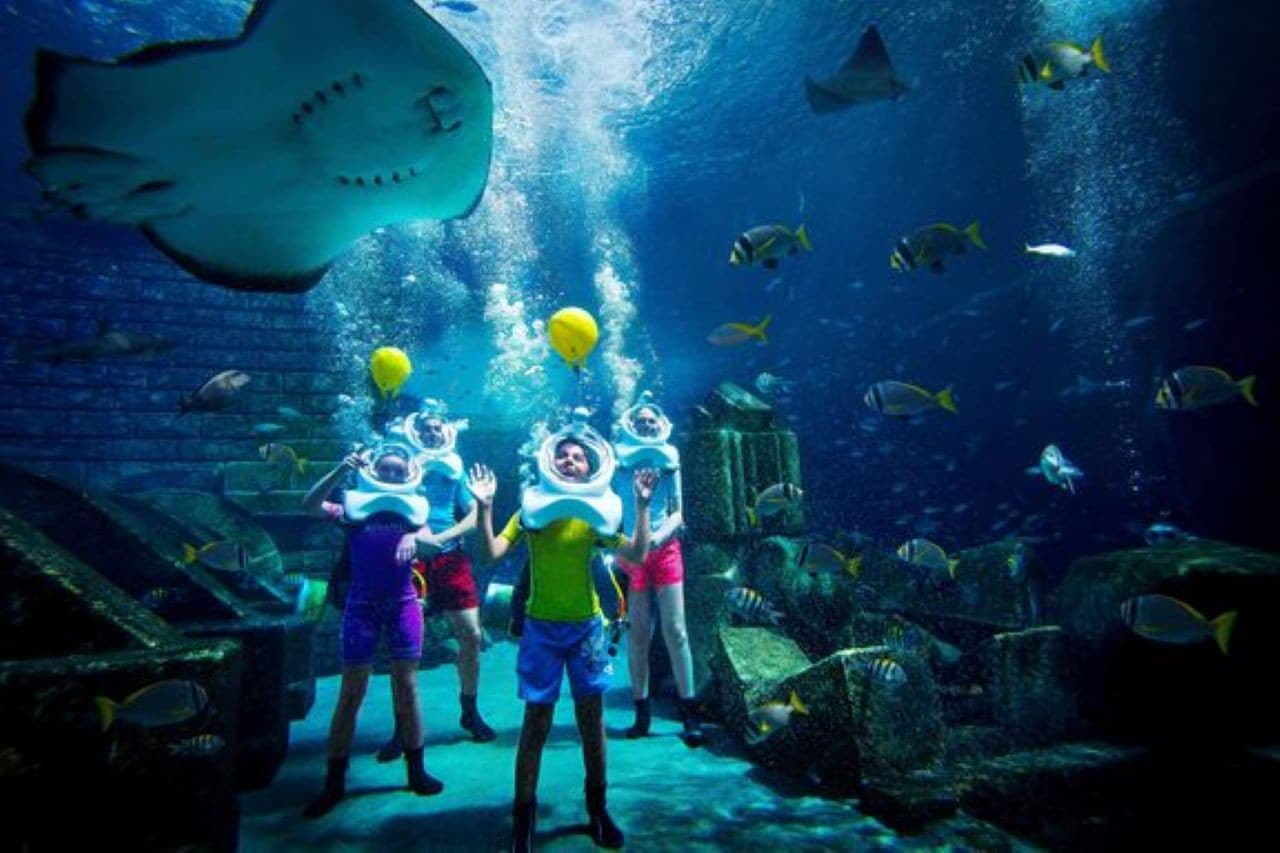 Atlantis Dubai Ticket - image 12