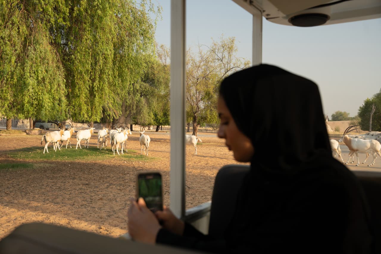Dubai Safari Park Ticket - image 27