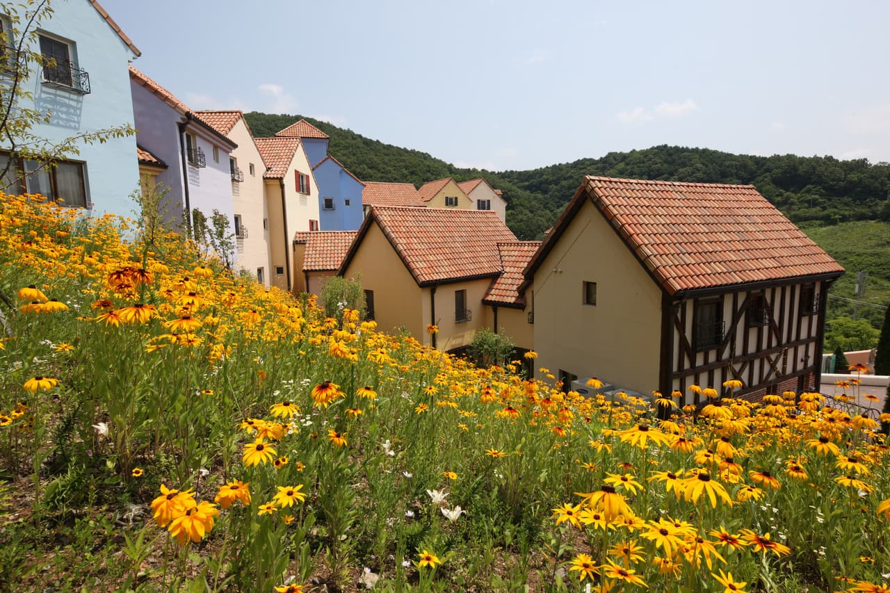 Nami Island, Petite France, Garden of Morning Calm, and Gangchon Rail Bike Tour from Seoul - main image
