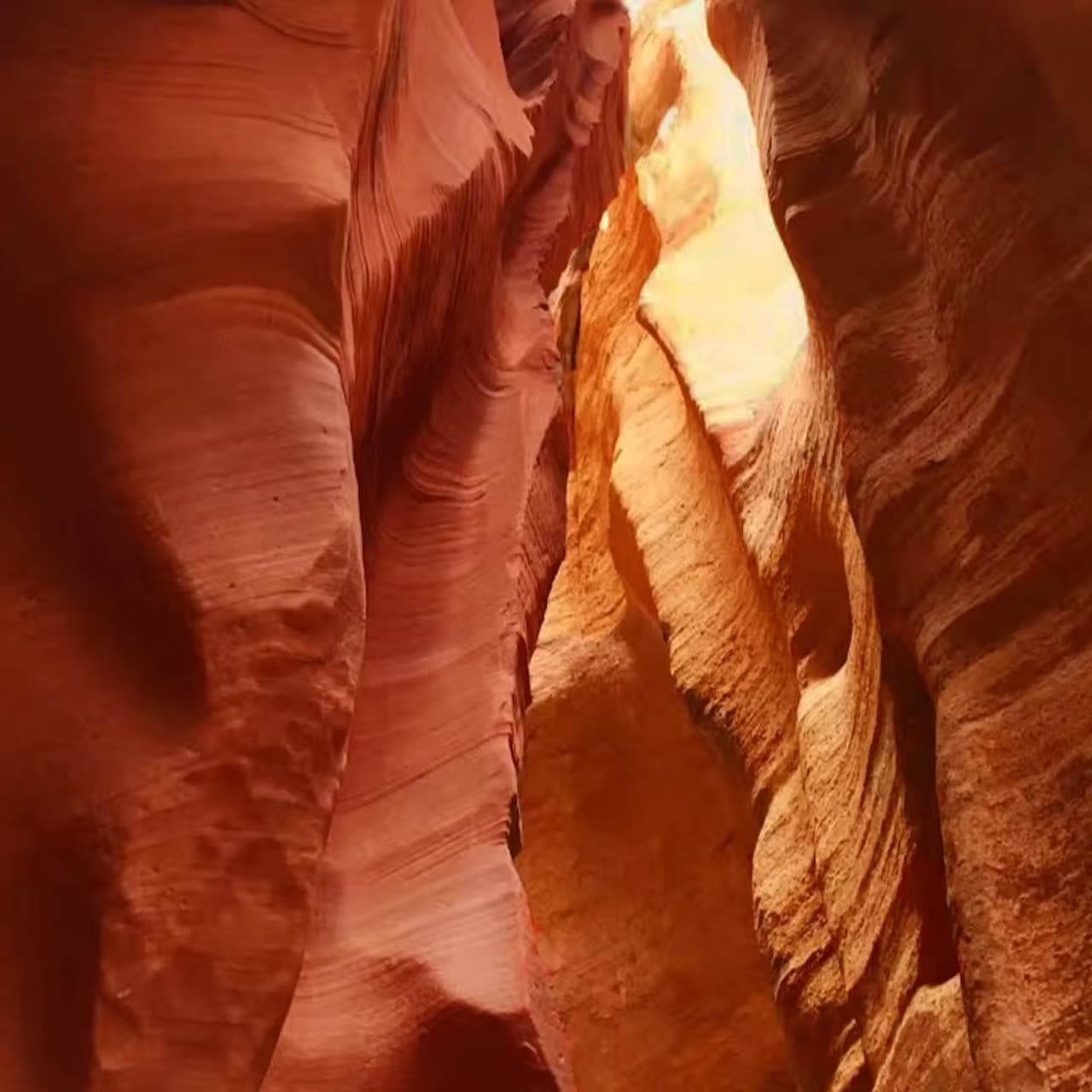 Antelope Canyon X and Horseshoe Bend Tour from Las Vegas - image 5