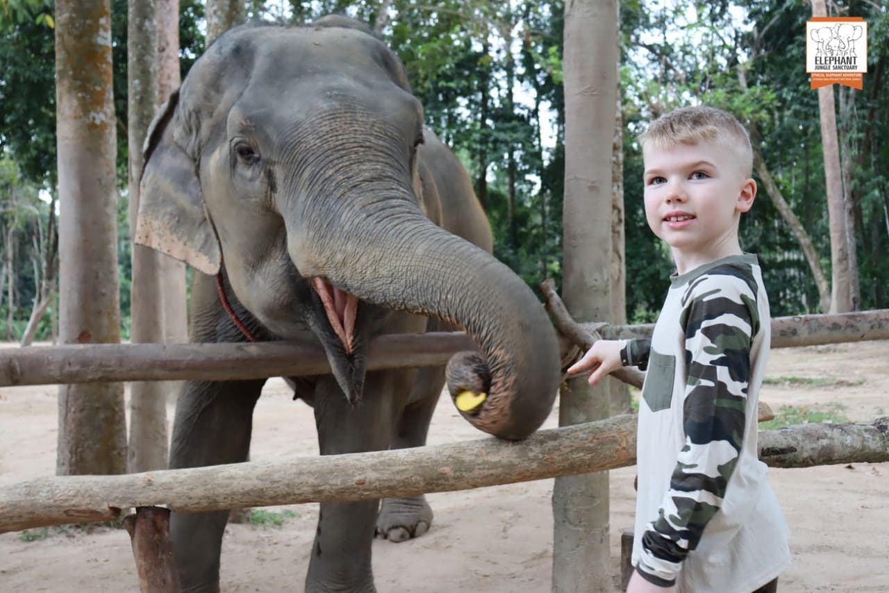 Elephant Jungle Sanctuary Koh Samui - image 5