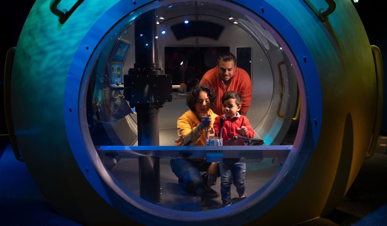 New York Aquarium - main image