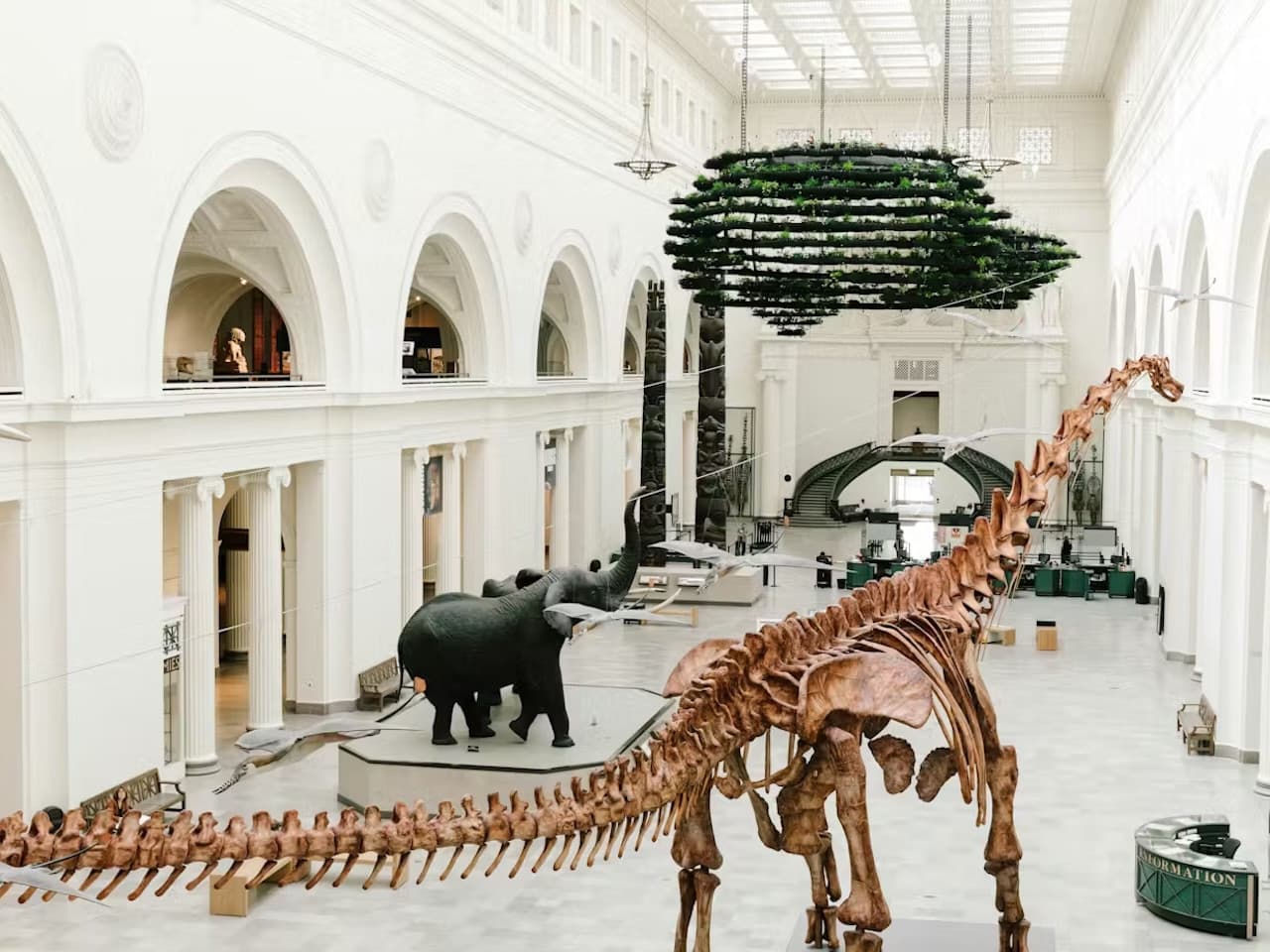 The Field Museum of Natural History Ticket - imagen 6