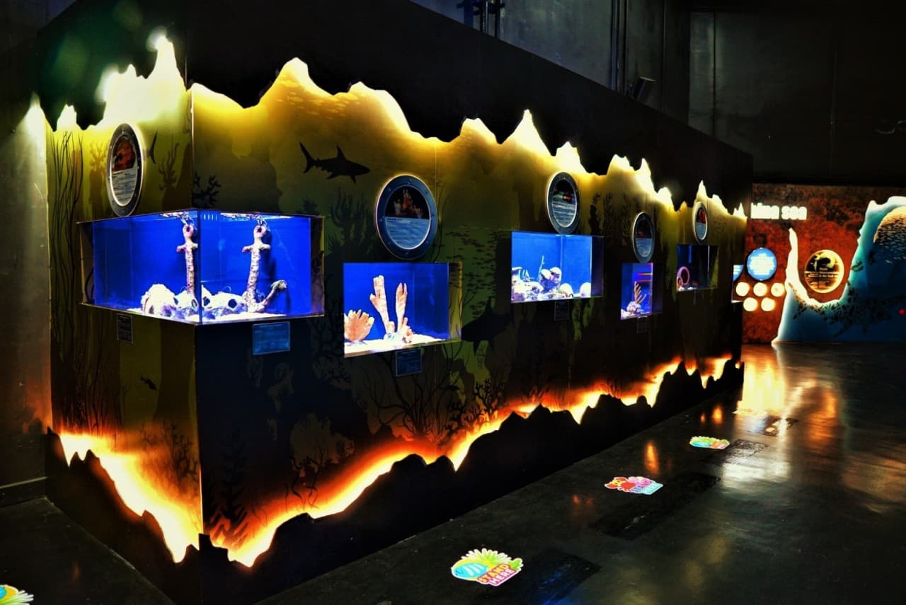 Aquaria Phuket - image 7