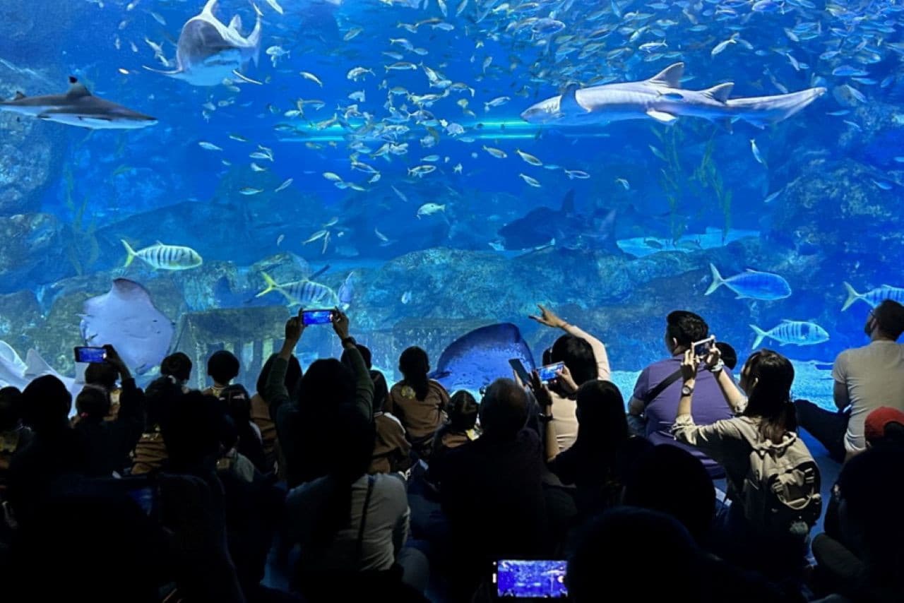 SEA LIFE COEX, Seoul Aquarium Ticket - image 4