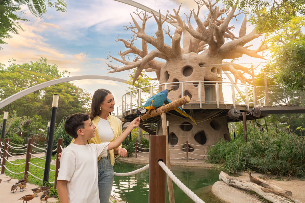 Dubai Safari Park Ticket - image 12