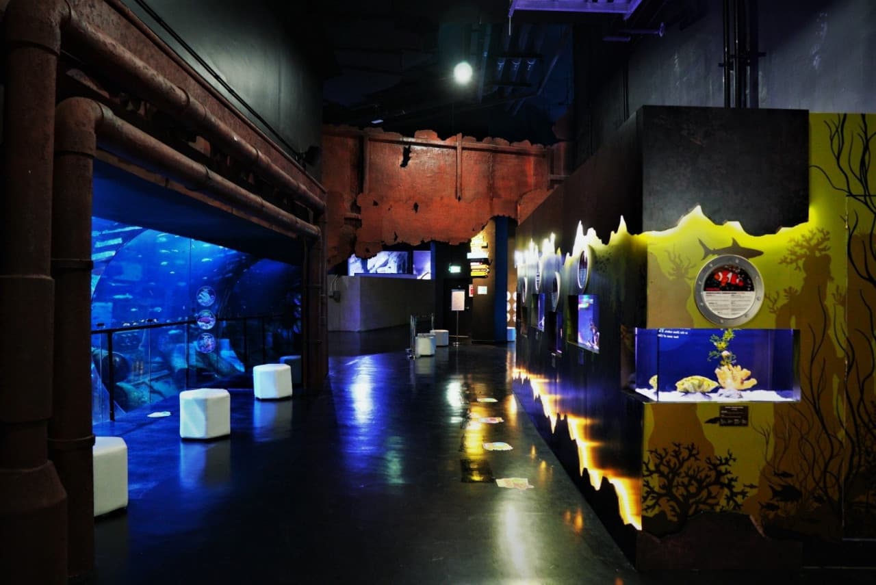 Aquaria Phuket - image 8