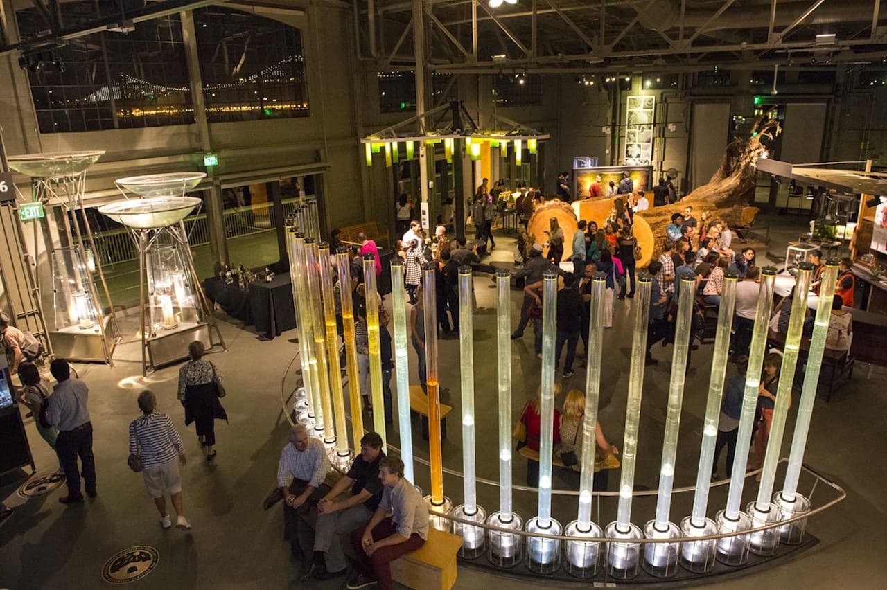 San Francisco CityPASS: Admission to 4 Top Attractions - image 9