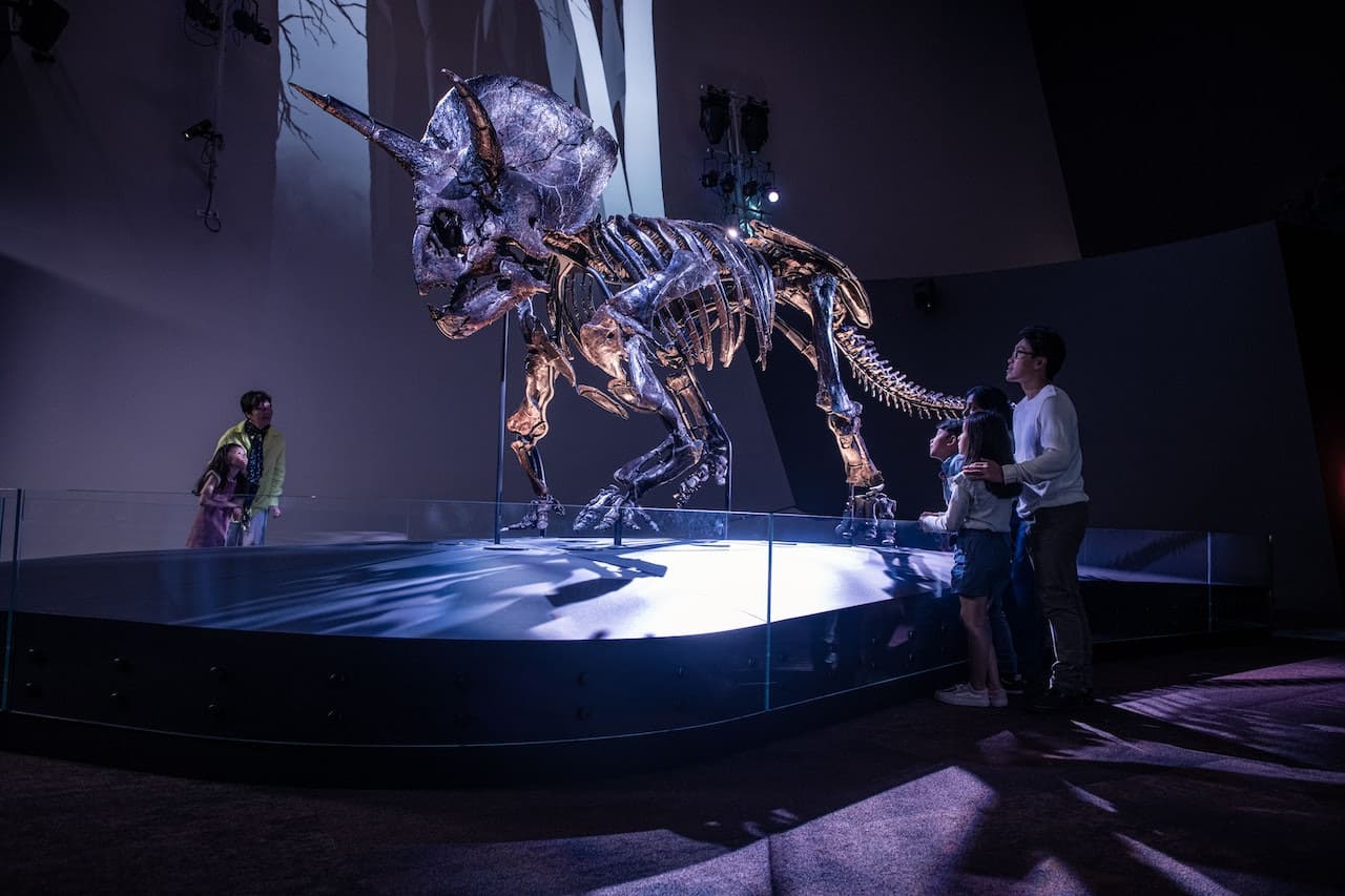 Melbourne Museum - main image