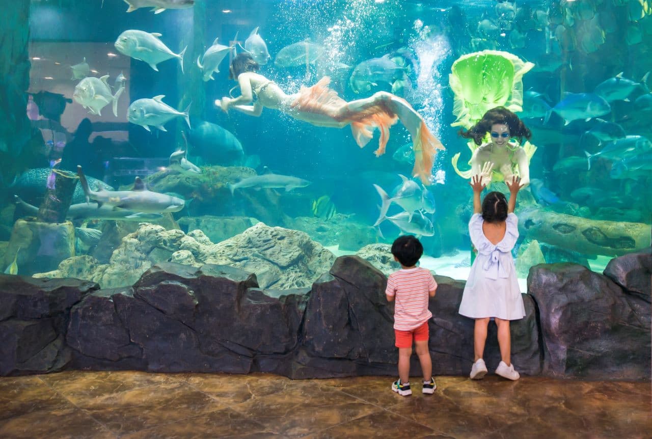 Vinpearl Aquarium Times City Hanoi Ticket - main image