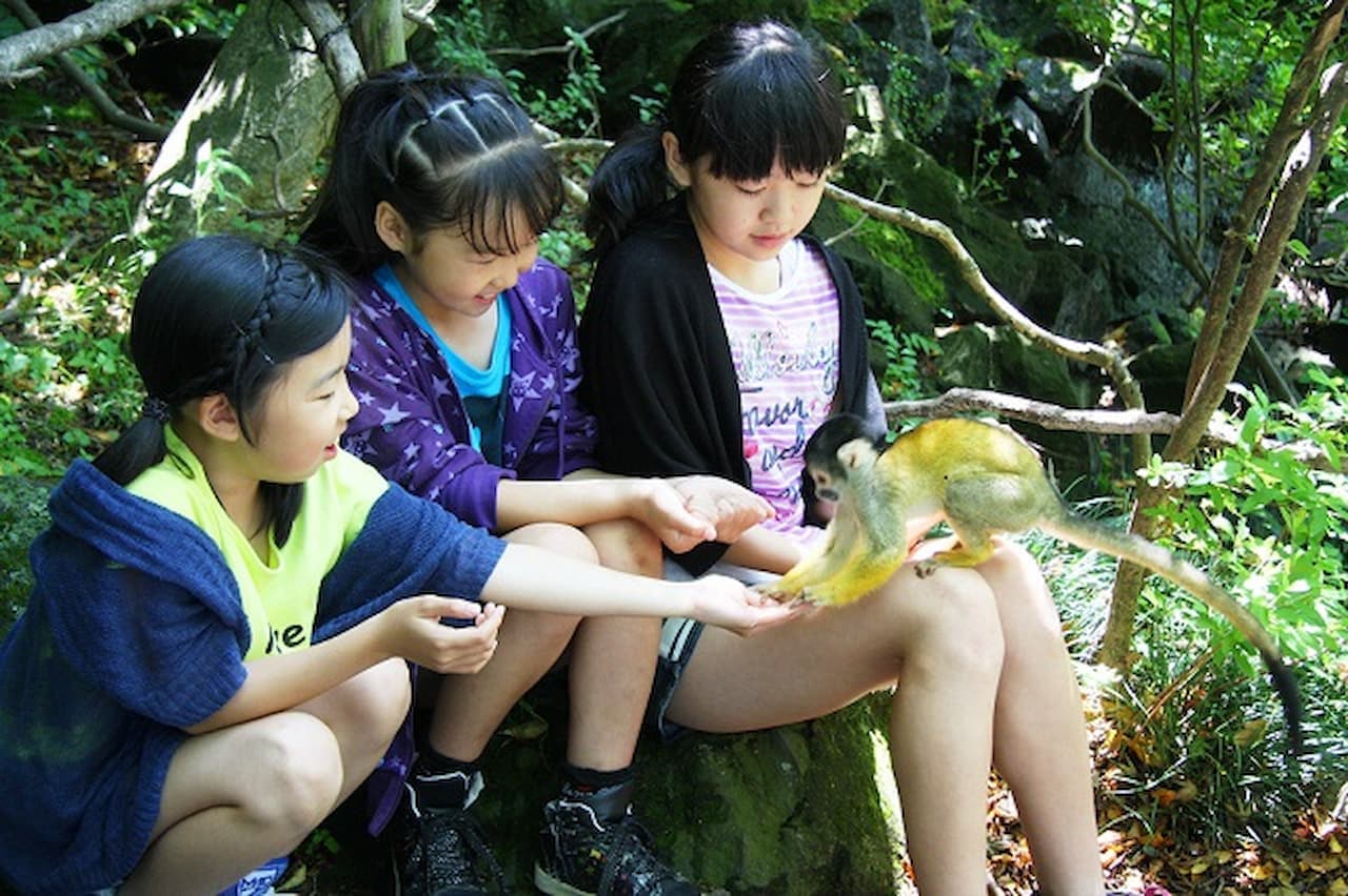 Entrada para Izu Shaboten Zoo - imagen 4