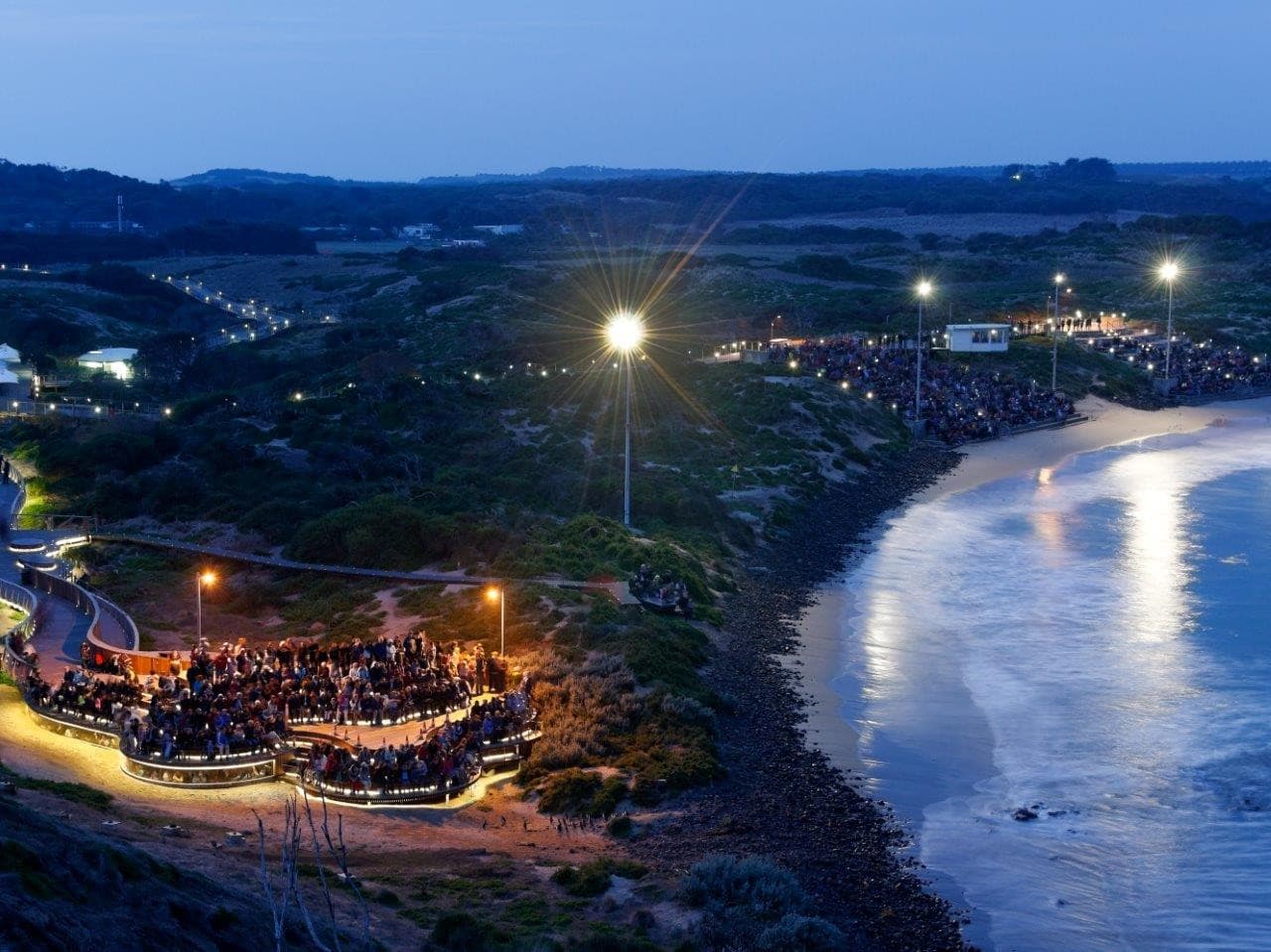 Phillip Island Nature Parks - Penguin Parade Ticket - image 10