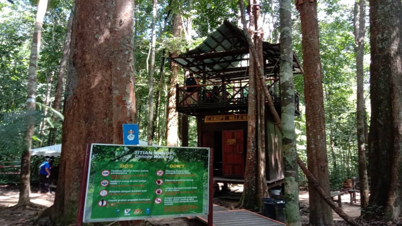 Taman Negara National Park Tour from Kuala Lumpur - image 2