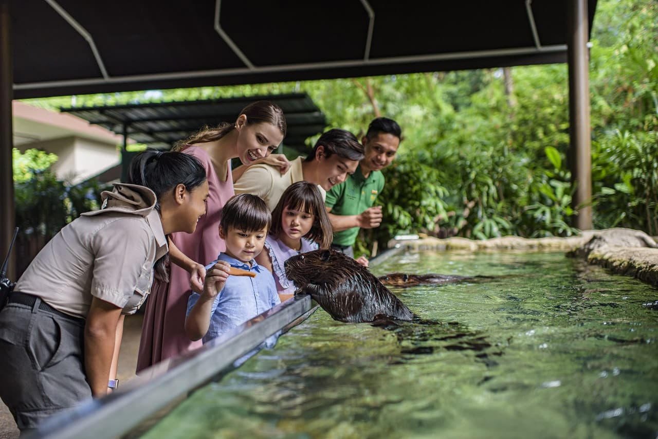 River Wonders Singapore Ticket - image 7