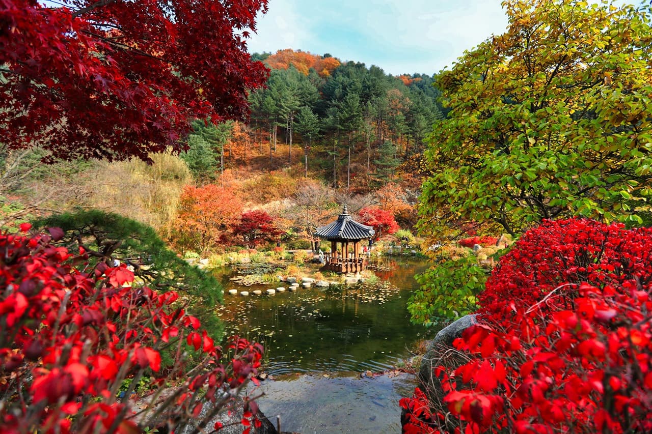 Nami Island, Mount Seorak, and Garden of Morning Calm Full-Day Tour from Seoul - main image