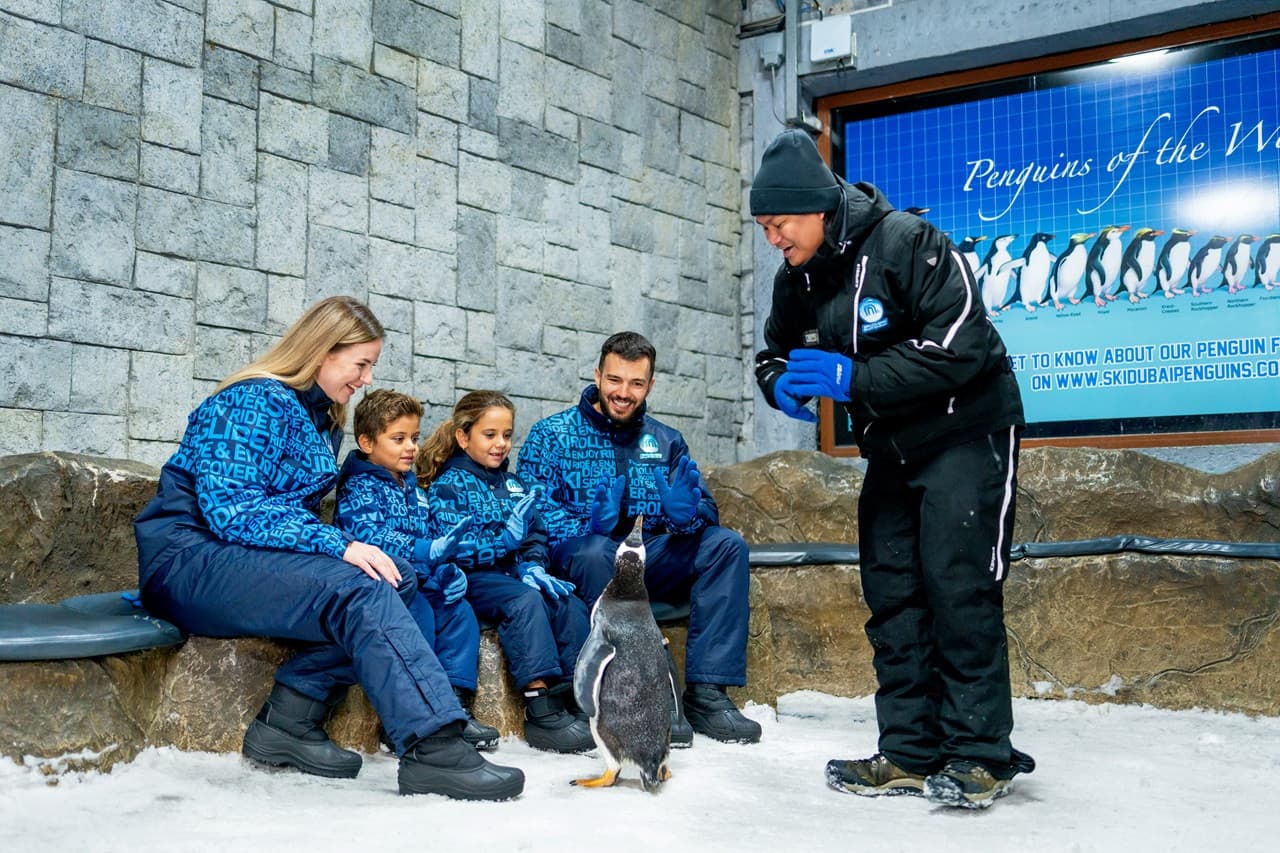 Ski Dubai Ticket - image 21