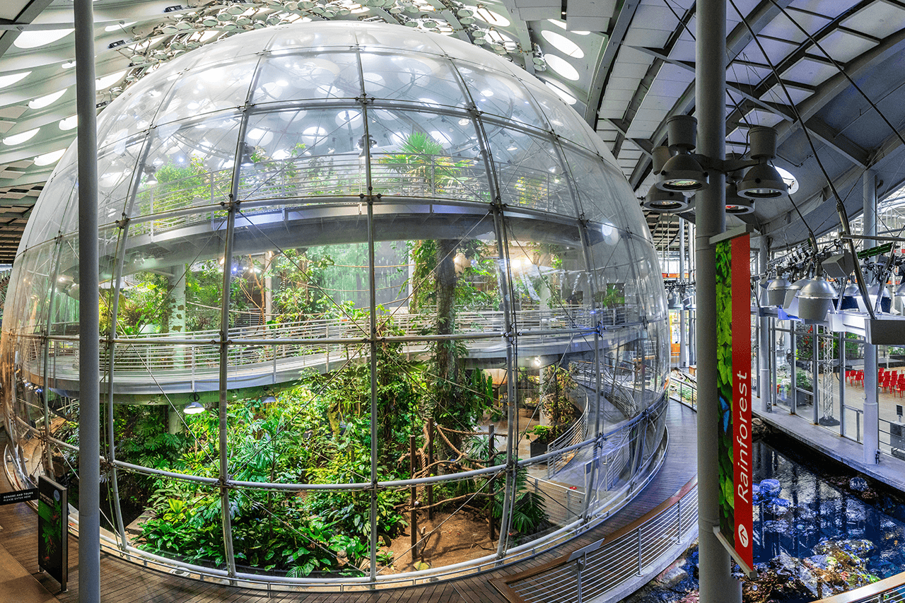 California Academy of Sciences Ticket - image 4