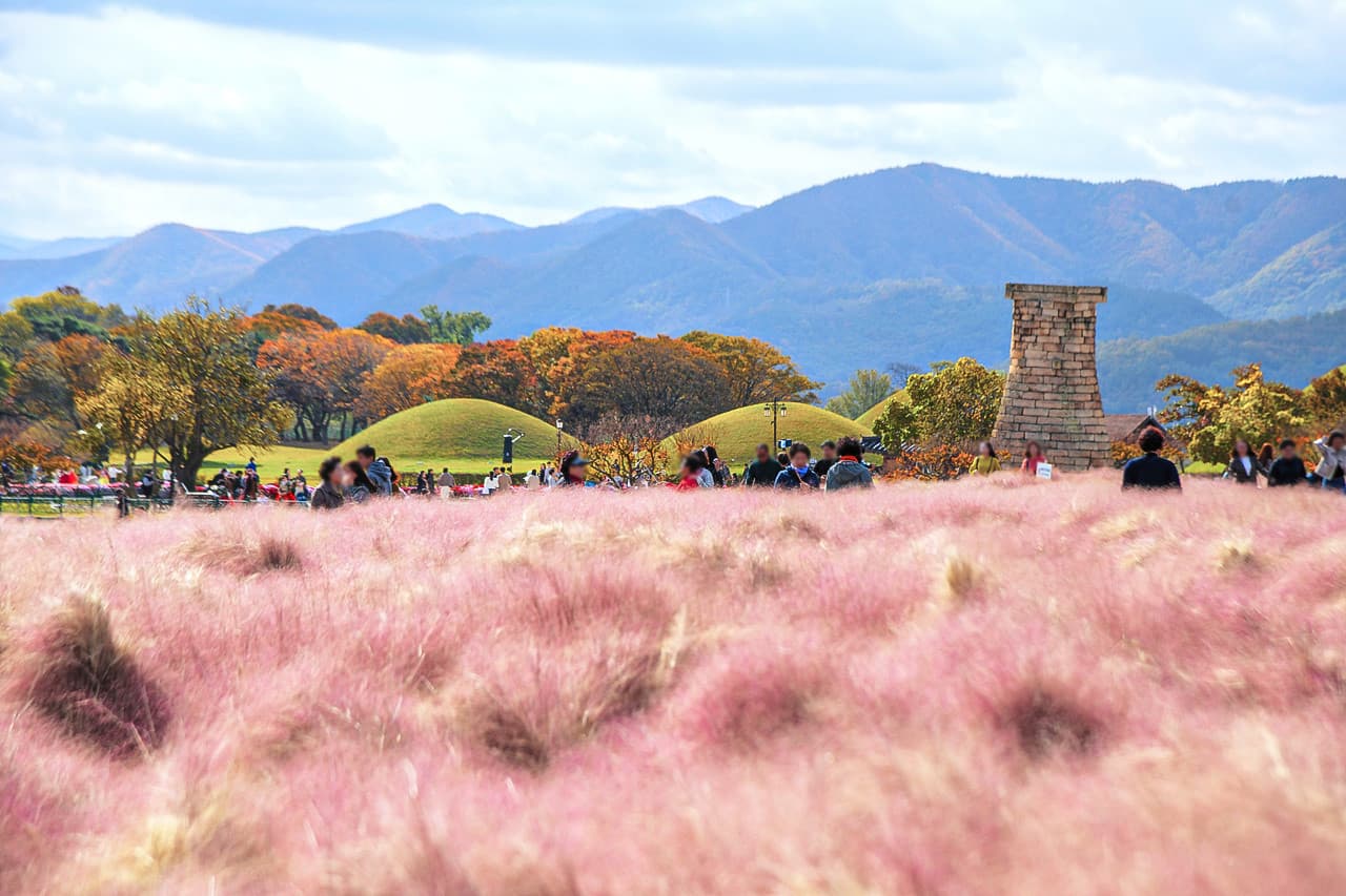 Gyeongju Autumn Foliage One Day Tour from Busan - 이미지 8