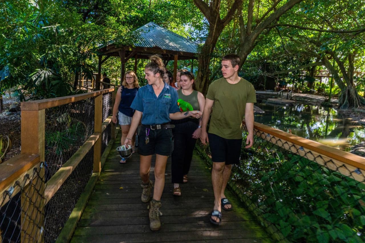 Daintree, Mossman Gorge, and Wildlife Habitat Port Douglas Full-Day Tour - image 5