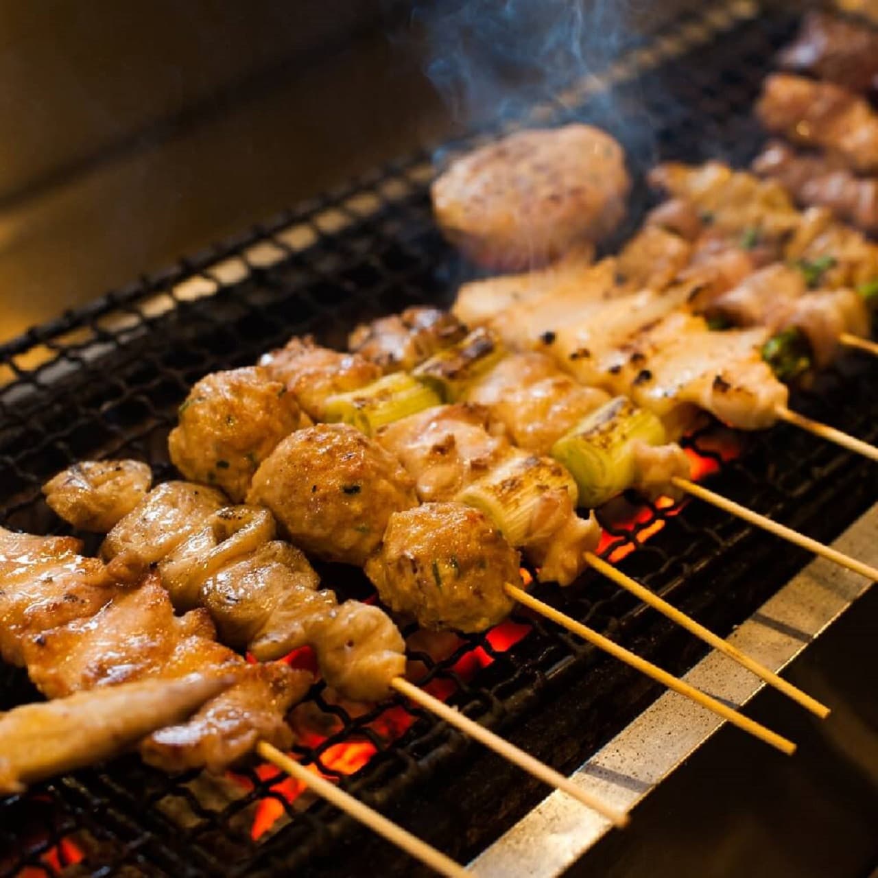 Tokyo Hidden Gem Food Tour in Shinbashi - image 11