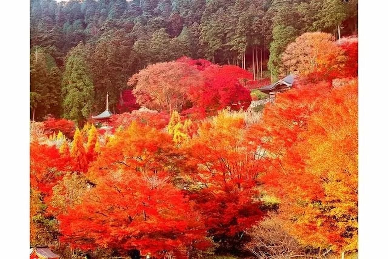 Katsuo-ji Temple Ticket - image 10