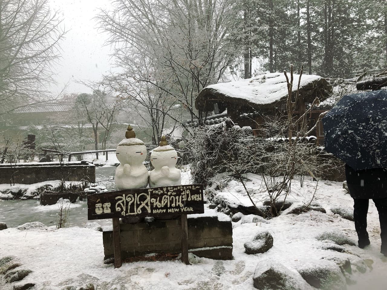 Nami Island, Mount Seorak, and Garden of Morning Calm Full-Day Tour from Seoul - image 22