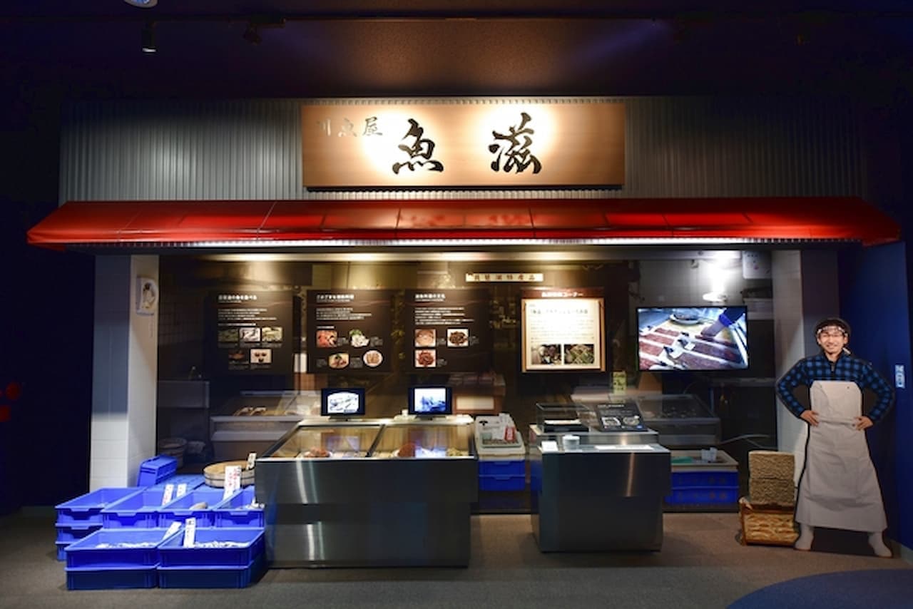 Lake Biwa Museum Ticket - image 8