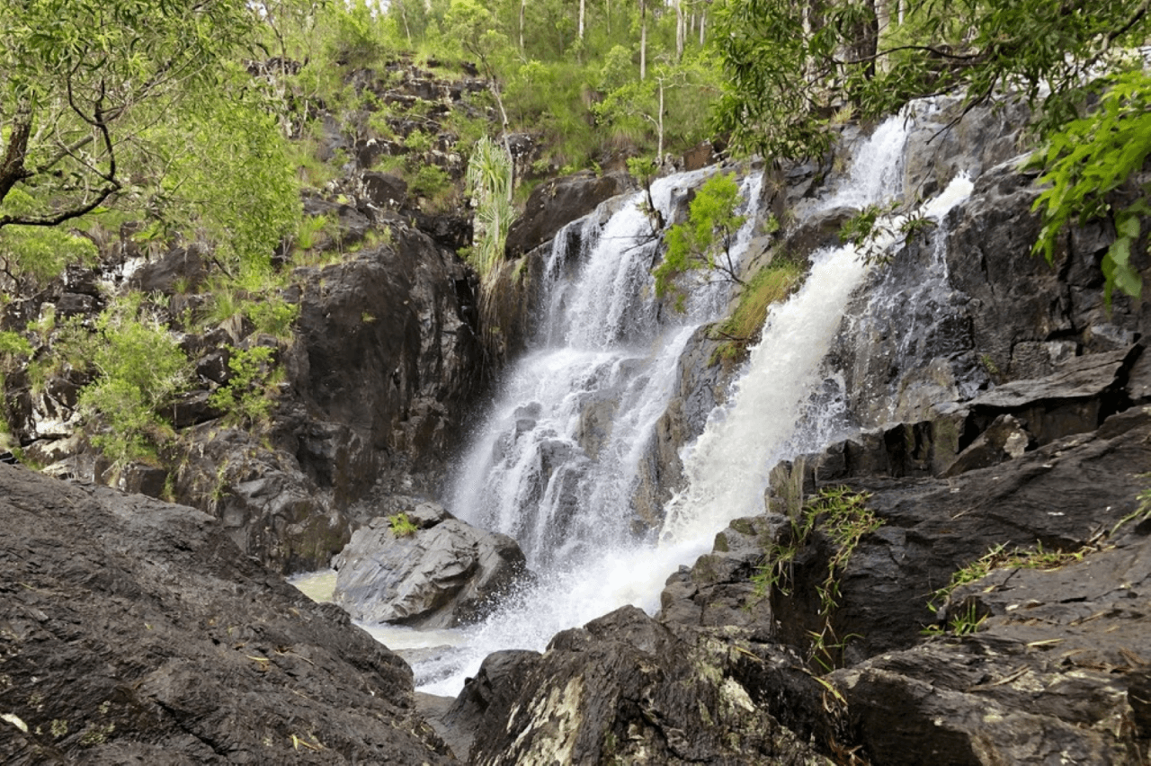Cedar Creek Falls Tour - image 4